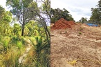 Roe 8: From freight link to green link