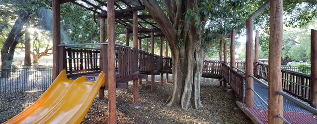 Care was taken to ensure that the existing trees were protected and showcased in the design.