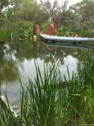 Endemic vegetation within the water bodies will mature, providing naturescape with strong foundations for longevity.