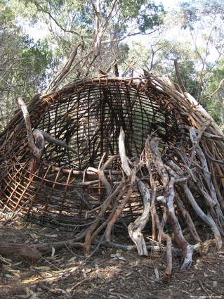 Prickly thickets frame unique spaces for education, interpretation and free play.