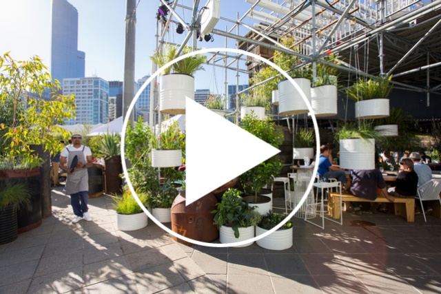The Immersery: A kitchen, bar, raingarden 