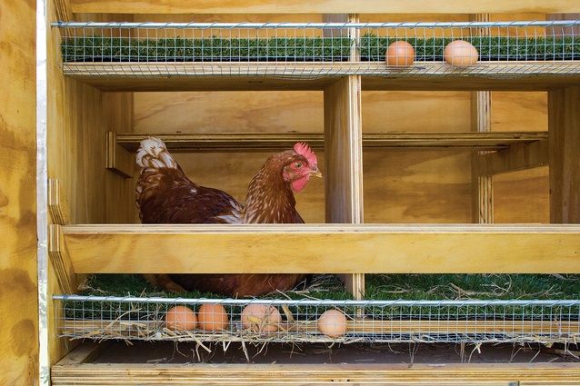 Chicken coop | ArchitectureAU