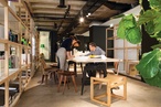 Woods Bagot studio, Sydney
