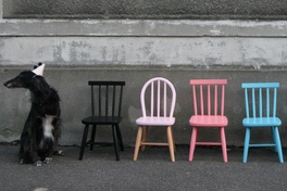La vie en rose