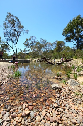 Pools offer children the opportunity to interact with nature in diverse environments.