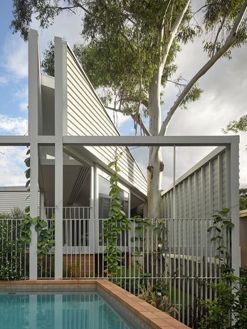 In Beck Street by Lineburg Wang, the living area splits around the trunk of an existing eucalypt.
