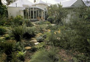 The 'Dalmatian meadow' garden at Murphy Street, Richmond, 1989.