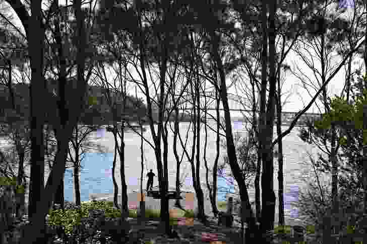 Yurulbin Reserve captures the image of Sydney Harbour and its surroundings. It was developed during the 1970s.