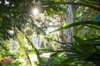 Wendy Whiteley and the secret garden