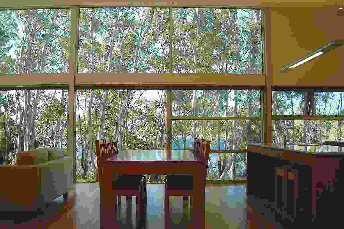 Extensive glazing allows for views through the trees.
