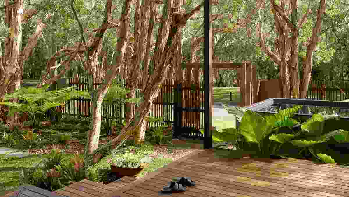 An outdoor shower nestled in the garden immerses one in the shade of the eucalypts.