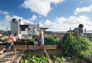 Rooftop garden at the Commons apartments in Melbourne by Breathe Architecture.