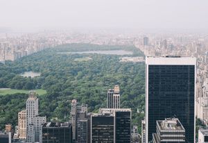 Central Park, New York.