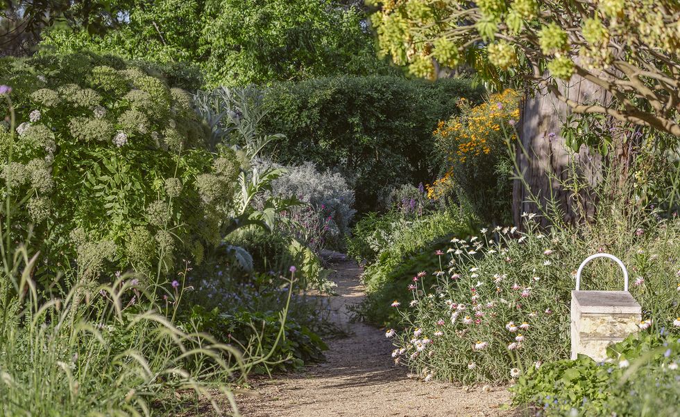 Heide Healing Garden opens | Landscape Australia