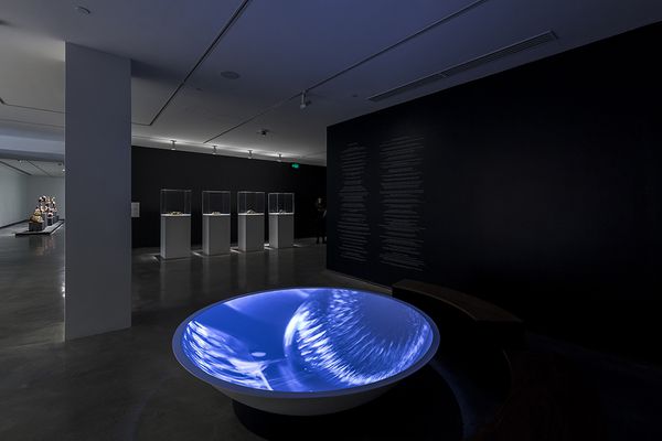Marjolijn Dijkman: Navigating Polarities, 2018
Installation with film projection, wall text
dimensions variable. Installation view (2018) at the Museum of Contemporary Art Australia for the 21st Biennale of Sydney. Commissioned by the Biennale of Sydney with generous assistance from the Mondriaan Fund.