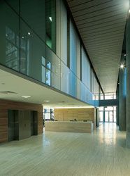 The travertine and timber-clad double-height
boulevard, with colourback glass “bar”, runs the length
of the site. The reception desk is seen in the middle
ground. 