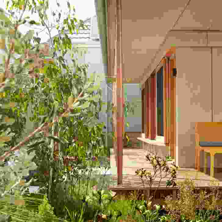 The garden, designed by Banksia and Lime, feels ever-present from within the house.