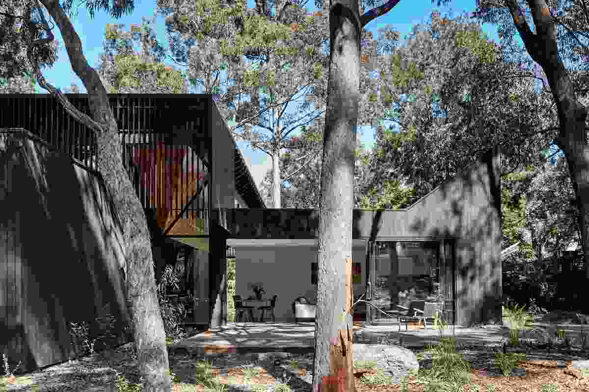 The new house is responsive to – and respectful of – its bush surroundings.
