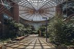 The reworked and revitalised 1997 Forestry Dome (Morris-Nunn and Associates) provides a spatial catalyst for The Forest’s new additions.