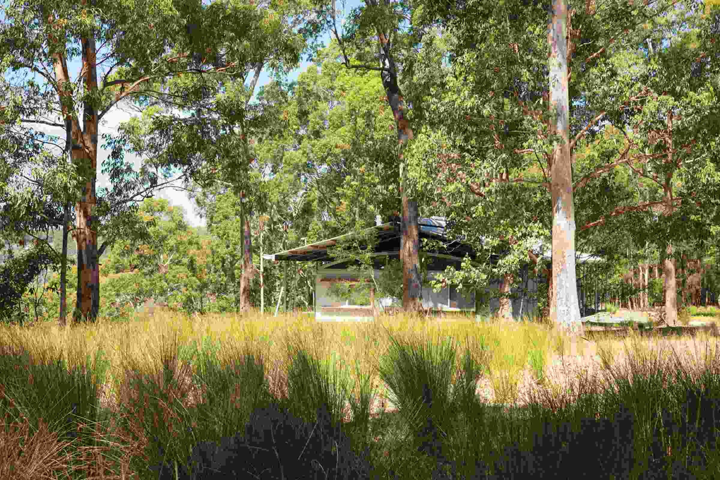 Forest Edge Garden | Landscape Australia