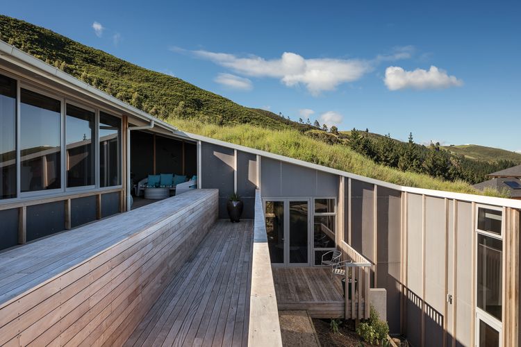 New Zealand's most popular houses of 2017 | ArchitectureAU