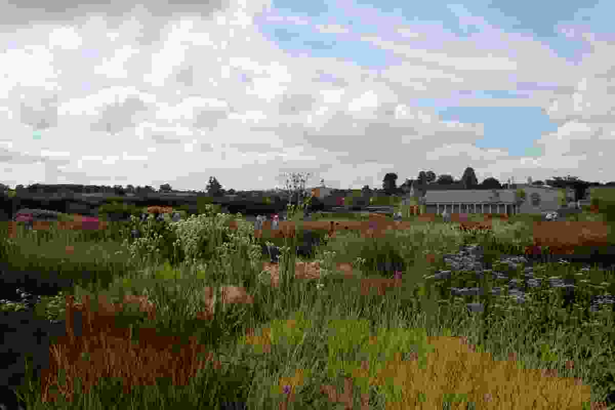 The Oudolf Field by Piet Oudolf, Hauser & Wirth Somerset, United Kingdom.