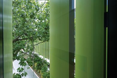 Views to established trees and gardens form an essential element of the Lowy Centre.