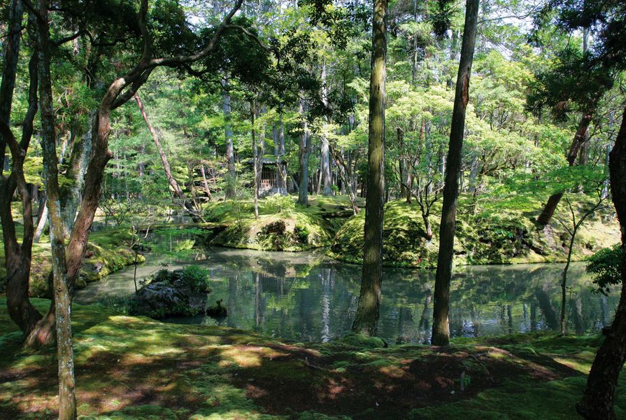 The Saiho-Ji moss garden in Kyoto, Japan.