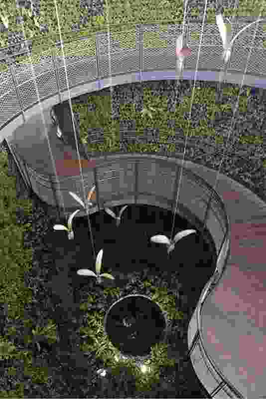 Models of dipterocarp seed spin down through the Rain Forest Cone.