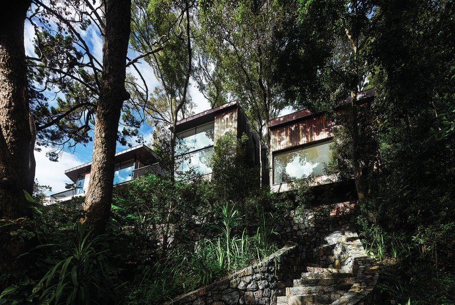Located on a prominent hilltop site, the house is designed to recede into its leafy surrounds.