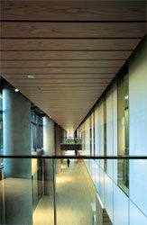 The boulevard seen
from the mezzanine bridge. Travertine and timber
contrast with the off-form concrete columns and glass
“bar” that define the linear space. 