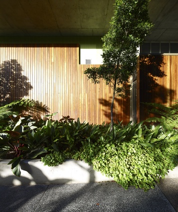 SW1 invites site residents and visitors to enjoy the soothing and enriching qualities of extensive vegetation.