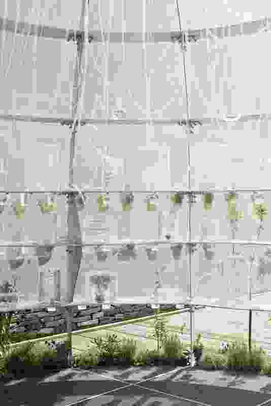 LAVA, Janet Laurence create membrane-wrapped 'medicinal garden' pavilion