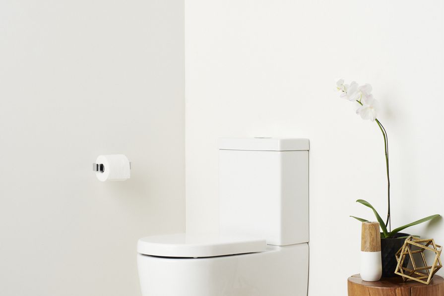 New Caroma Cleanflush toilets ArchitectureAU