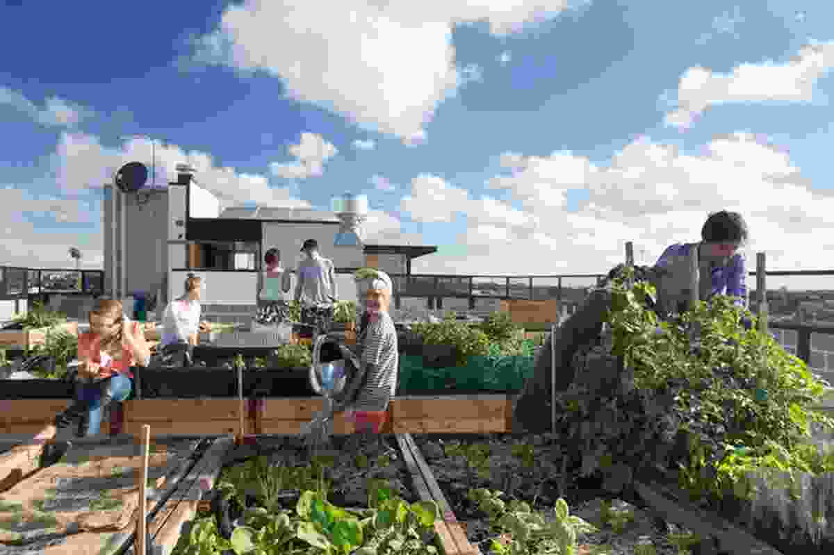 Rooftop garden at The Commons.