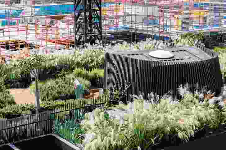 A densely planted rooftop garden on the fourth floor of the complex choreographs native grasses with feature planting to create an immersive space for residents to linger in and explore.