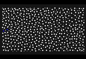 Created by Paul Herzich, a Kaurna and Ngarrindjeri man from South Australia and an AILA registered landscape architect, the artwork for the Reflect RAP illustrates the 65,000 years of Aboriginal and Torres Strait Islander cultures and the 200 or so years of non-indigenous cultures as white and blue stars above the Country.