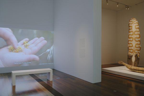 Installation view of My Country:
Country Road and NGV First Nations Commissions on display from 22 March to 4 August 2024 at the Ian Potter Centre: NGV
Australia, Melbourne.