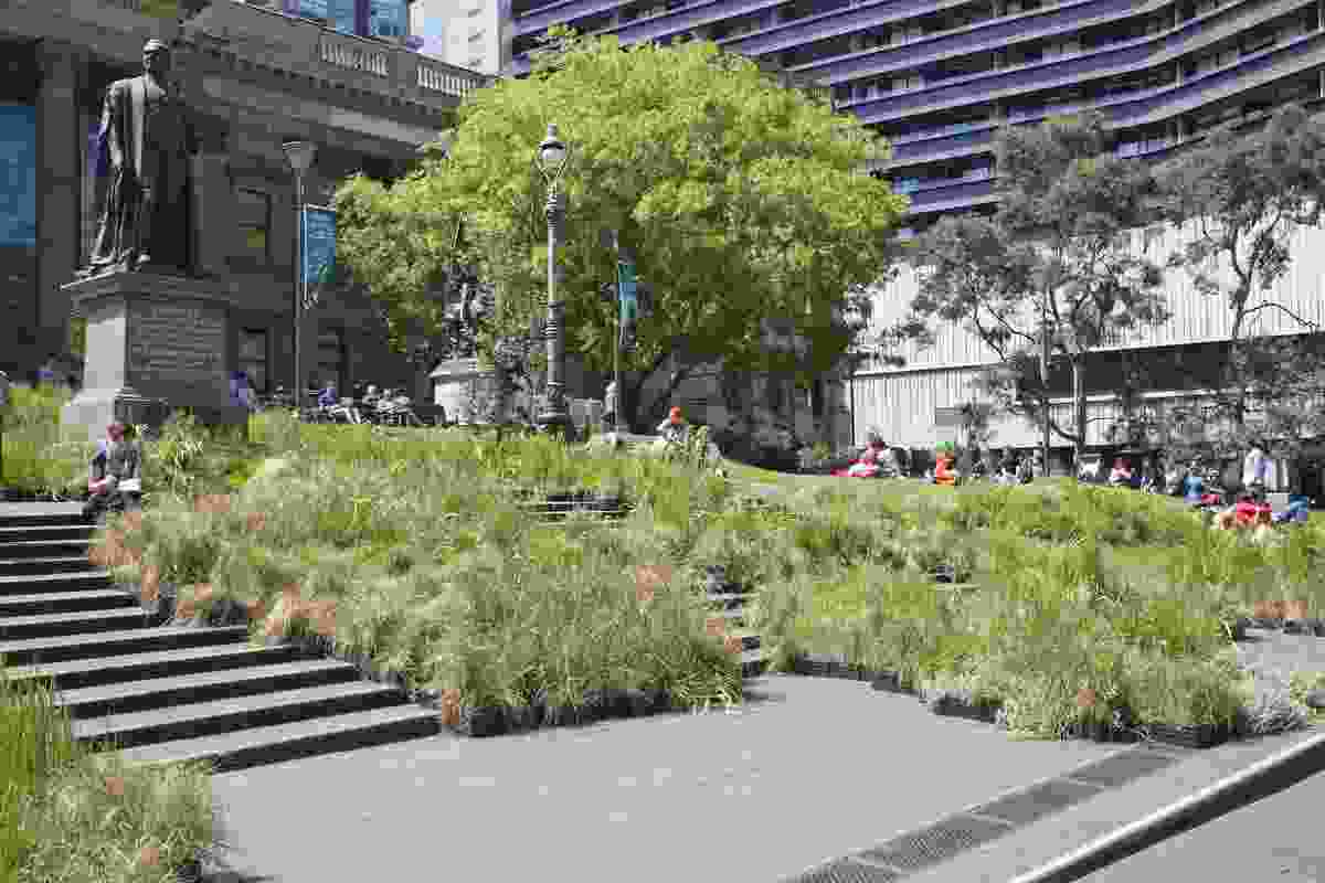 Grasslands installation at the State Library of Victoria.