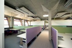 The open-plan
offices, designed for a wider-then-usual temperature
range of 19 to 25 degrees, contain refurbished and
recycled furniture.