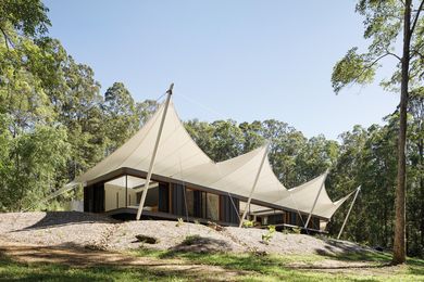 The fluid curves of the canopy structure sit within a small clearing, surrounded by a forty-metre-tall vestigial landscape.