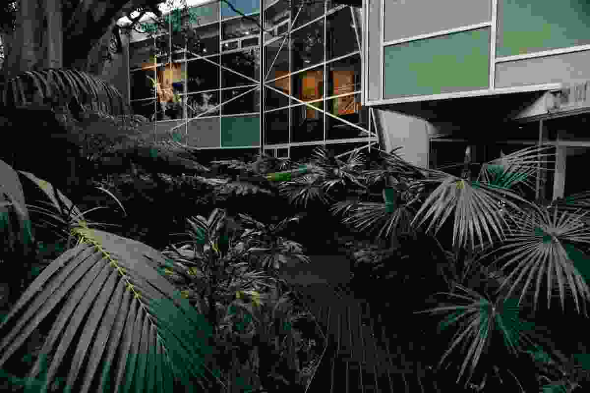 System Garden Rainforest Walk by SBLA Studio won a Landscape Architecture Award in the Small Projects category.