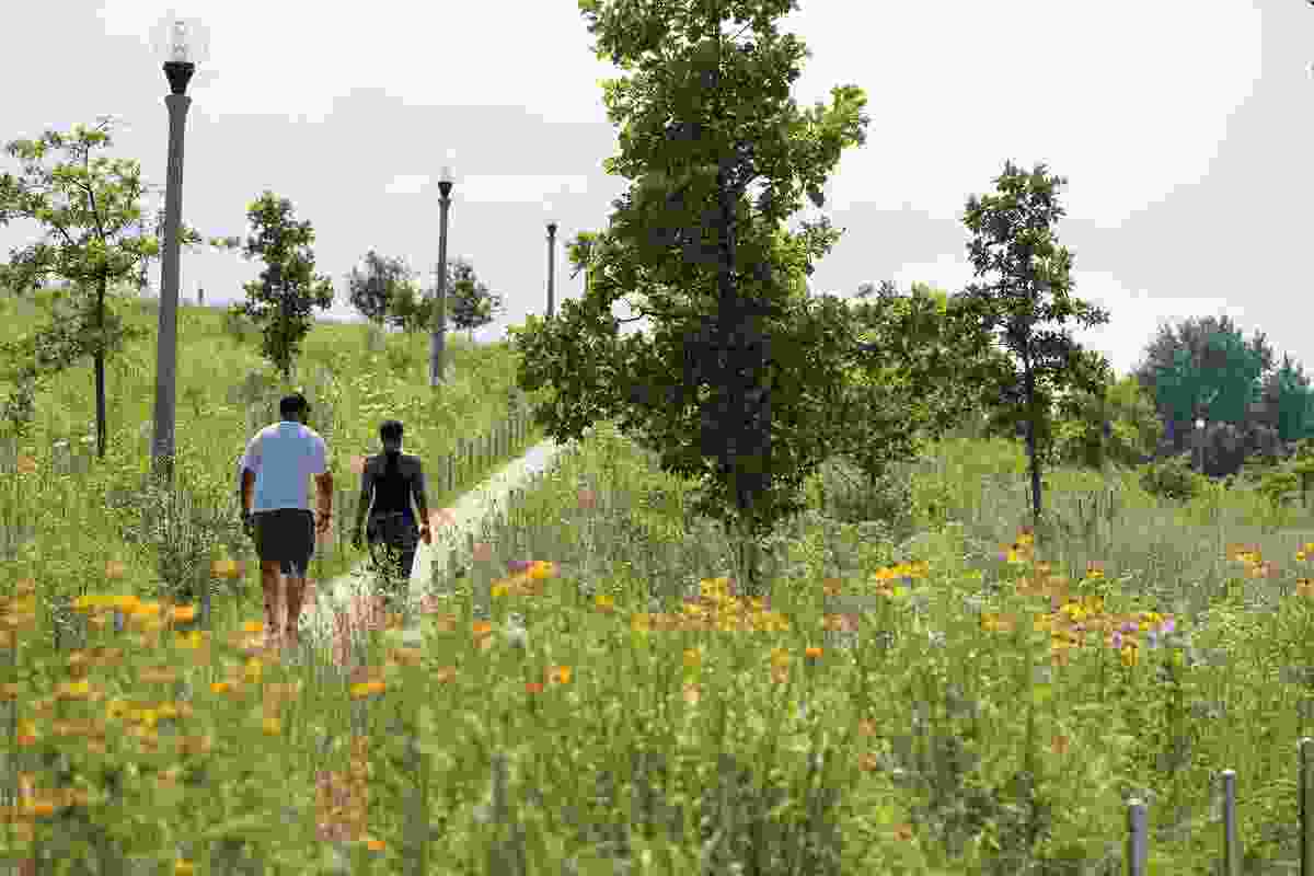 Prairie planting at Henry Palmisano Park in Chicago by Site Design Group and D.I.R.T studio.