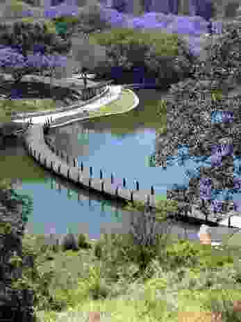 Lakeside Walk at University of Queensland by Wilson Architects.