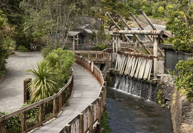 Replica kauri log dam, built on the banks of Motions Creek. The dam is based on the Kaiaraara Dam on Great Barrier Island built in the 1920s.