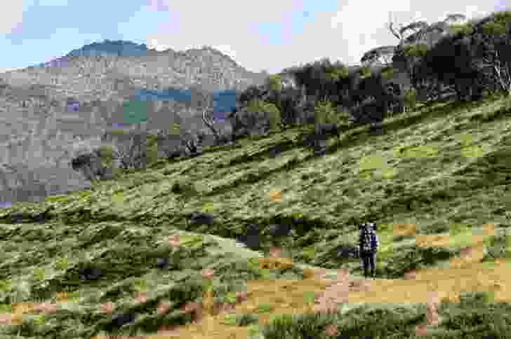 The trail as it leads to The Big Boggy – an Alpine creek valley just south of Thredbo, New South Wales.