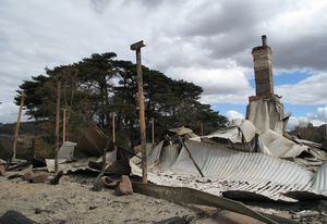 Collective action will be needed for truly regenerative bushfire recovery