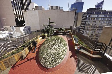 The central hill, planted with succulents, has a wisteria-covered structure as the central focus.