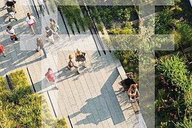 High Line: The Inside Story of New York City’s Park in the Sky