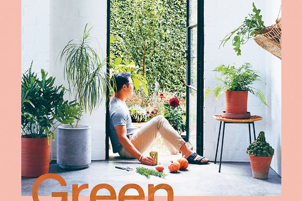 Green: Plants for Small Spaces, Indoors and Out by Jason Chongue (Hardie Grant Books, 2019).